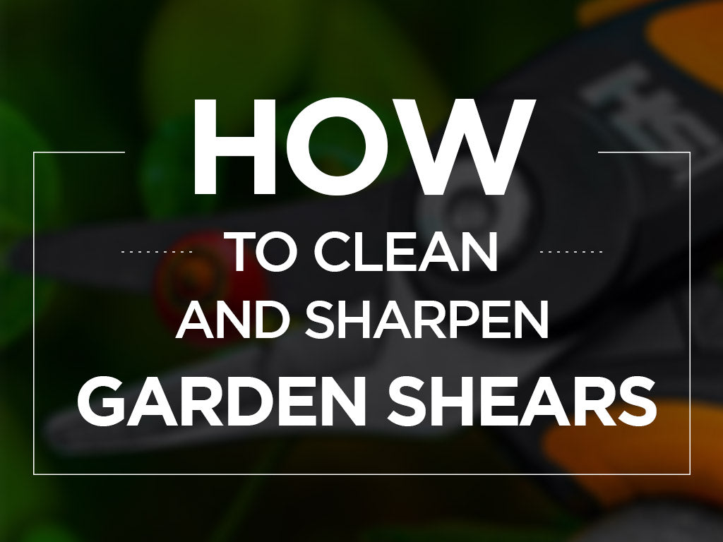 How to Clean and Sharpen Garden Shears